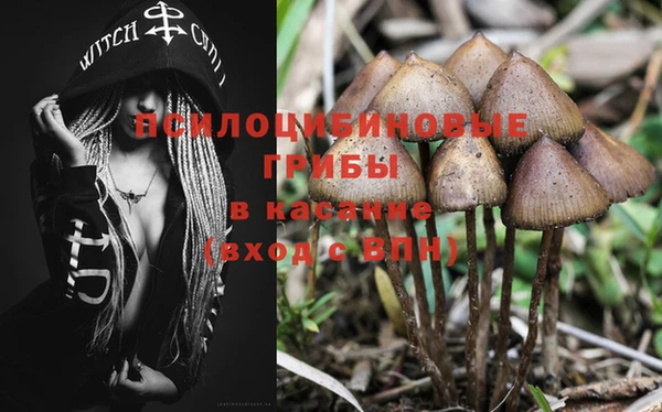 винт Алзамай