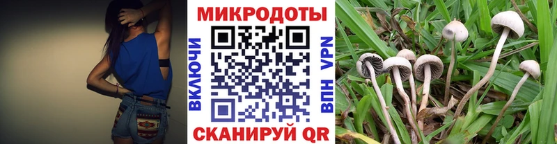 гидра ССЫЛКА  Динская  Псилоцибиновые грибы Magic Shrooms 